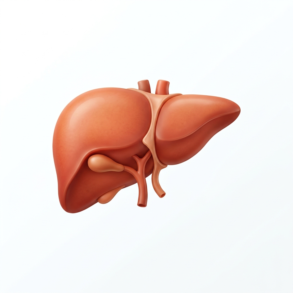 Liver AI Logo